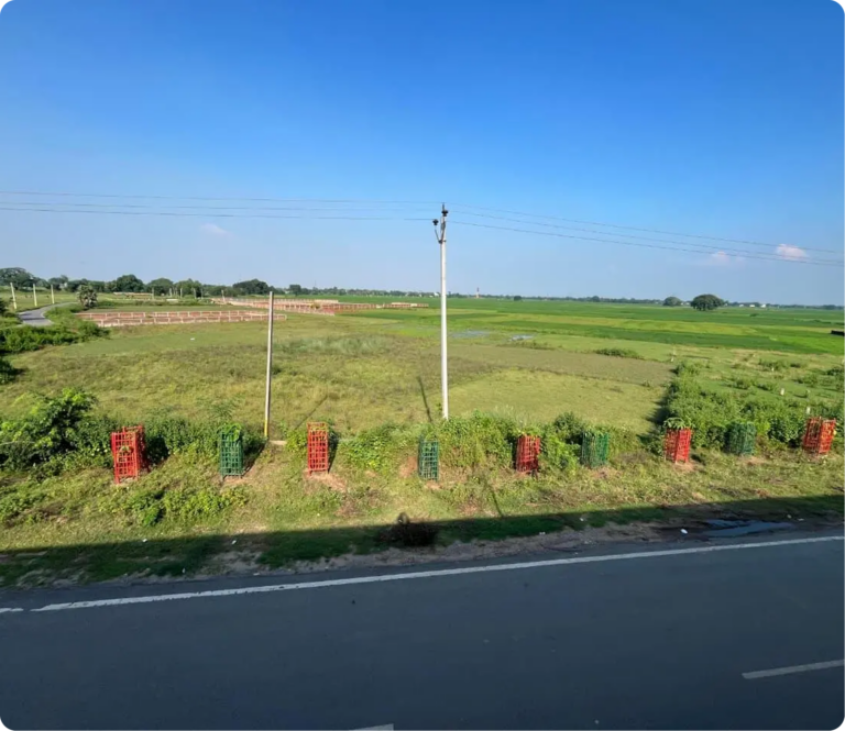 Patna Plot Picks: A Practical Guide to Quick Moves