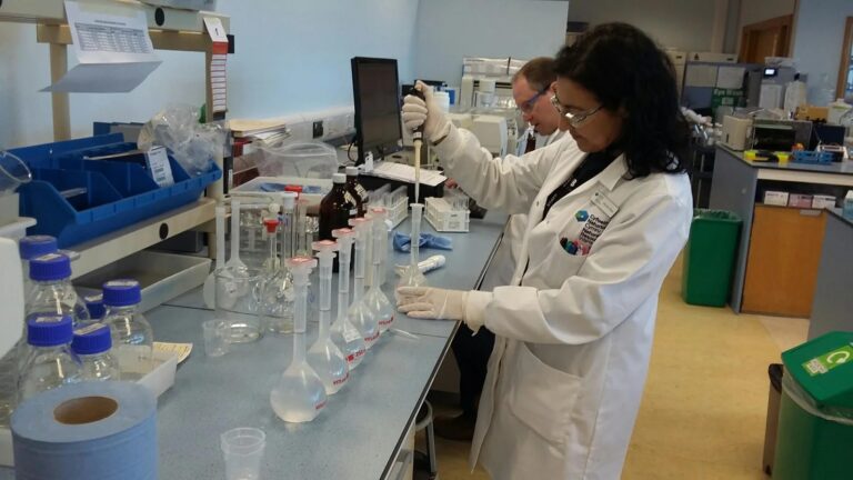 Why Minerals Matter for Packaged Drinking Water