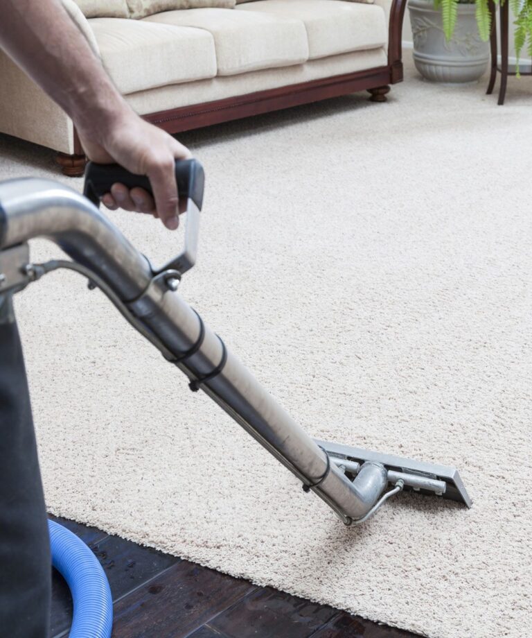 Fresh, Deep-cleaned Carpets Across the Magnolia State