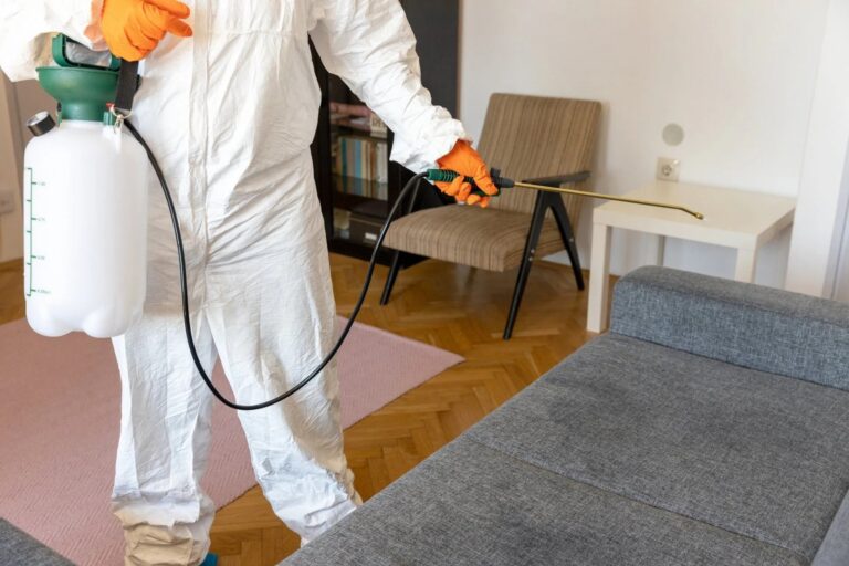 Smart, Local Ant and Rodent Solutions That Work for You